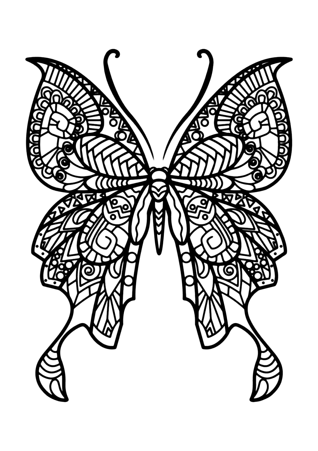 Borboleta Detalhada Para Colorir E Pintar Imprimir Desenhos