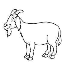 desenho de animais para colorir: cabra