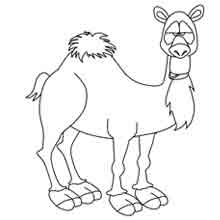 desenho de animais para colorir: camelo