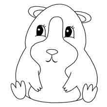 desenho de animais para colorir: hampster