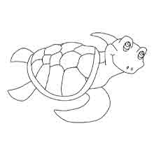 desenho de animais para colorir: tartaruga