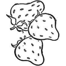 Desenhos De Frutas Para Colorir Para Colorir