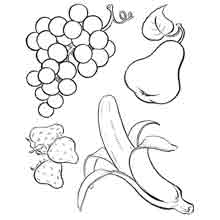 Desenhos de frutas desenhados à mão para colorir pacote de