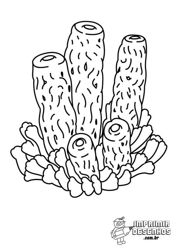 Desenho De Coral Para Colorir Imprimir E Desenhar Colorirme Porn Sex Picture