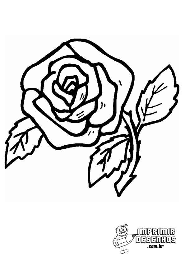 Rosa para colorir - Imprimir Desenhos