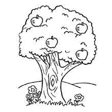 Desenhos de Natureza para Colorir - Colorir.com