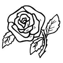 desenho de flores para colorir: rosa