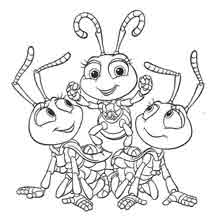 desenho da vida de inseto para pintar: formiguinhas