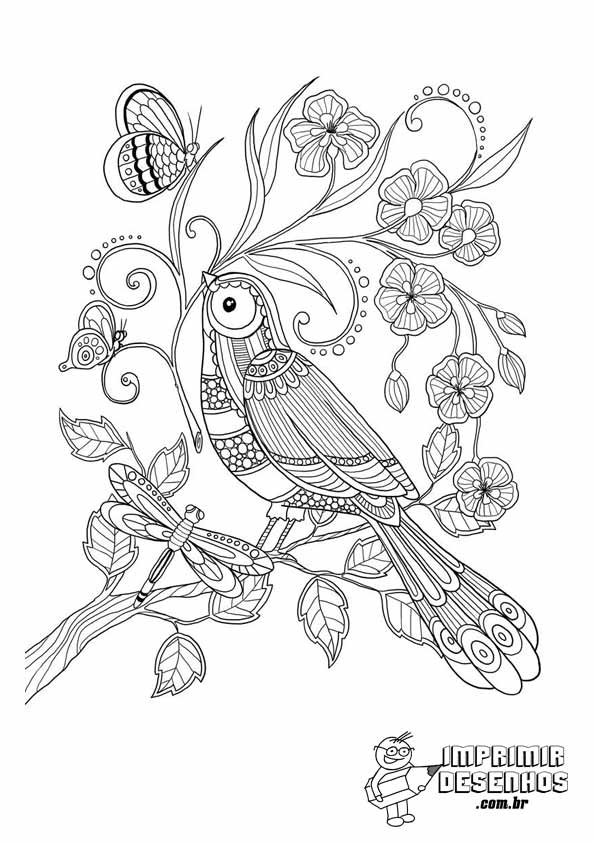 Desenhos para colorir gratuitos de Pássaros para imprimir e colorir -  Pássaros - Coloring Pages for Adults