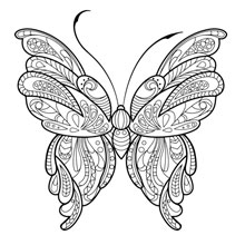 desenhos para colorir para adultos: borboleta