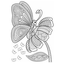 desenhos para colorir para adultos: libelula
