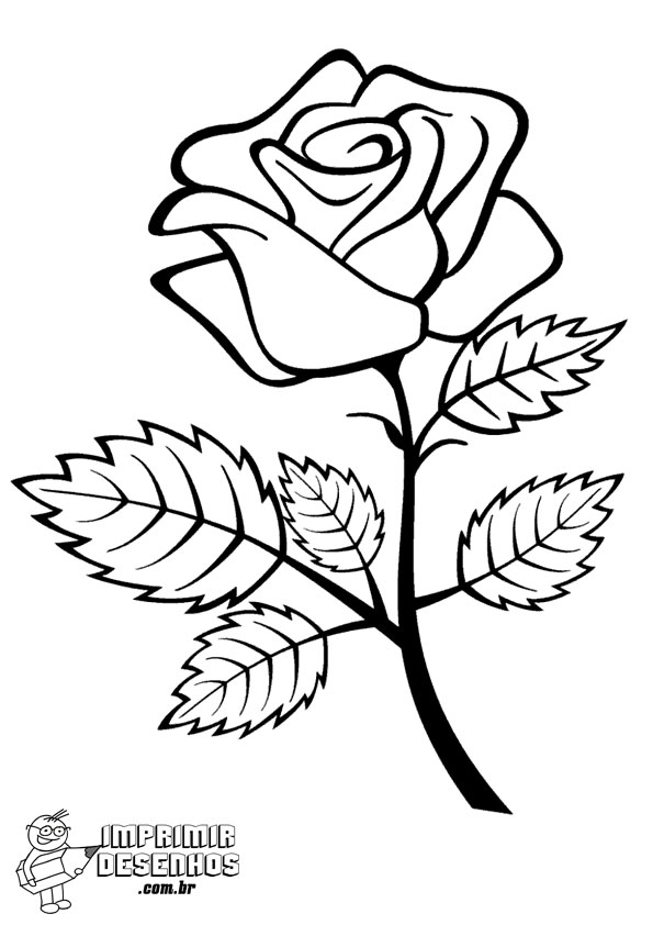 Desenho de Rosa para Colorir - Colorir.com