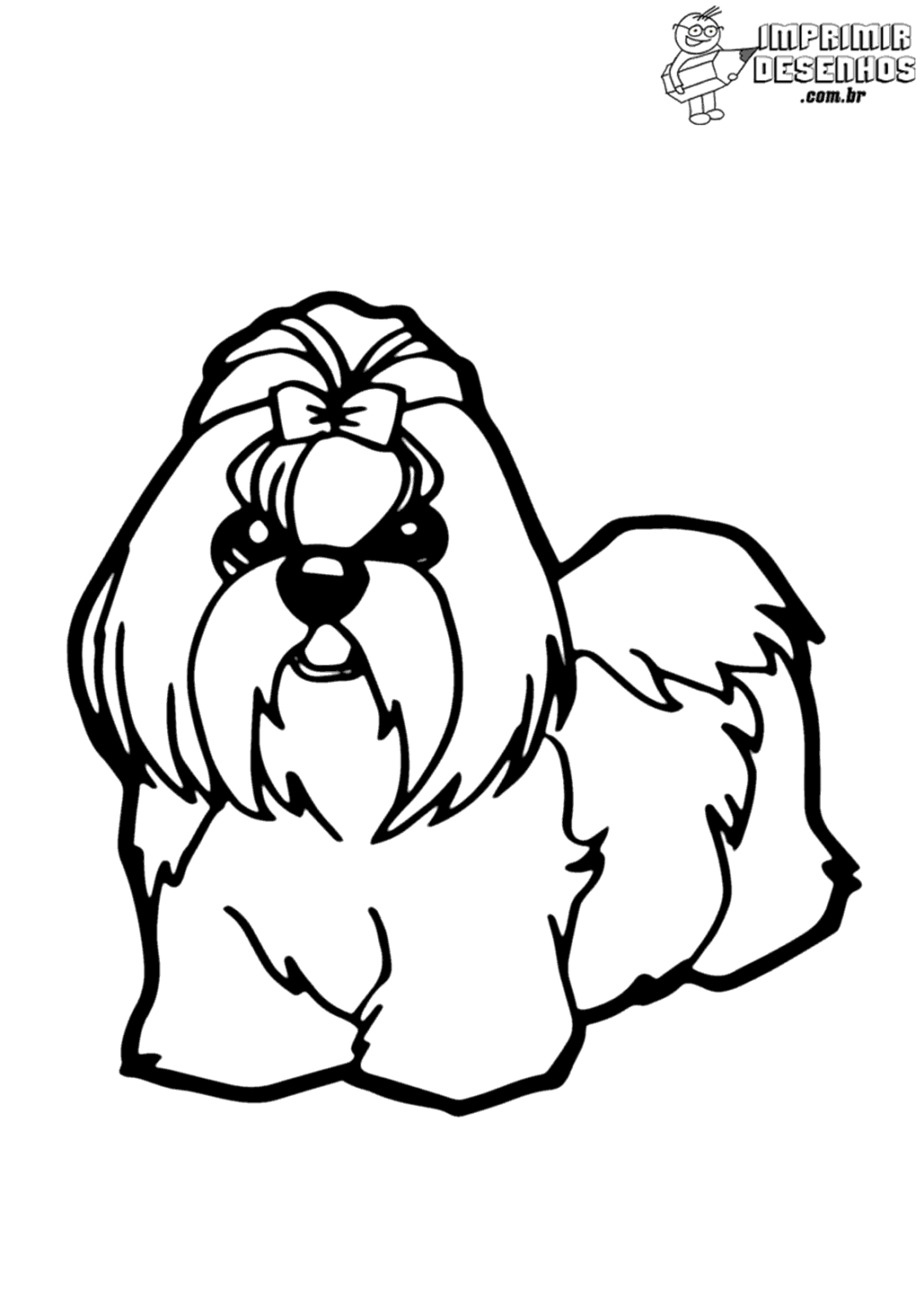 Cachorro shih-tzu para colorir - Imprimir Desenhos