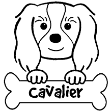 cachorros para colorir cachorro cavalier