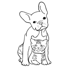 cachorros para colorir cachorro e gatinho