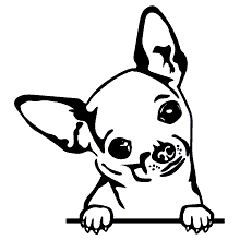 Desenho de Cachorro fofinho para colorir  Desenhos para colorir e imprimir  gratis