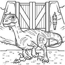 dinossauros para colorir velociraptor