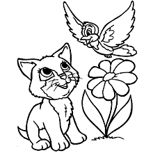 gatos para colorir gato e passarinho