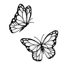 borboletas para colorir dupla