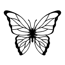 borboletas para colorir elegante