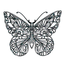 borboletas para colorir fabulosa