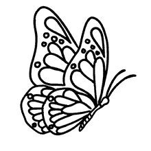 borboleta para colorir perfil