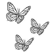 borboletas para colorir trio detalhado