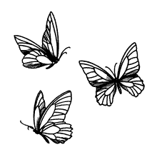 borboletas para colorir trio elegante