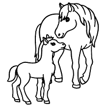 cavalos para colorir filhote