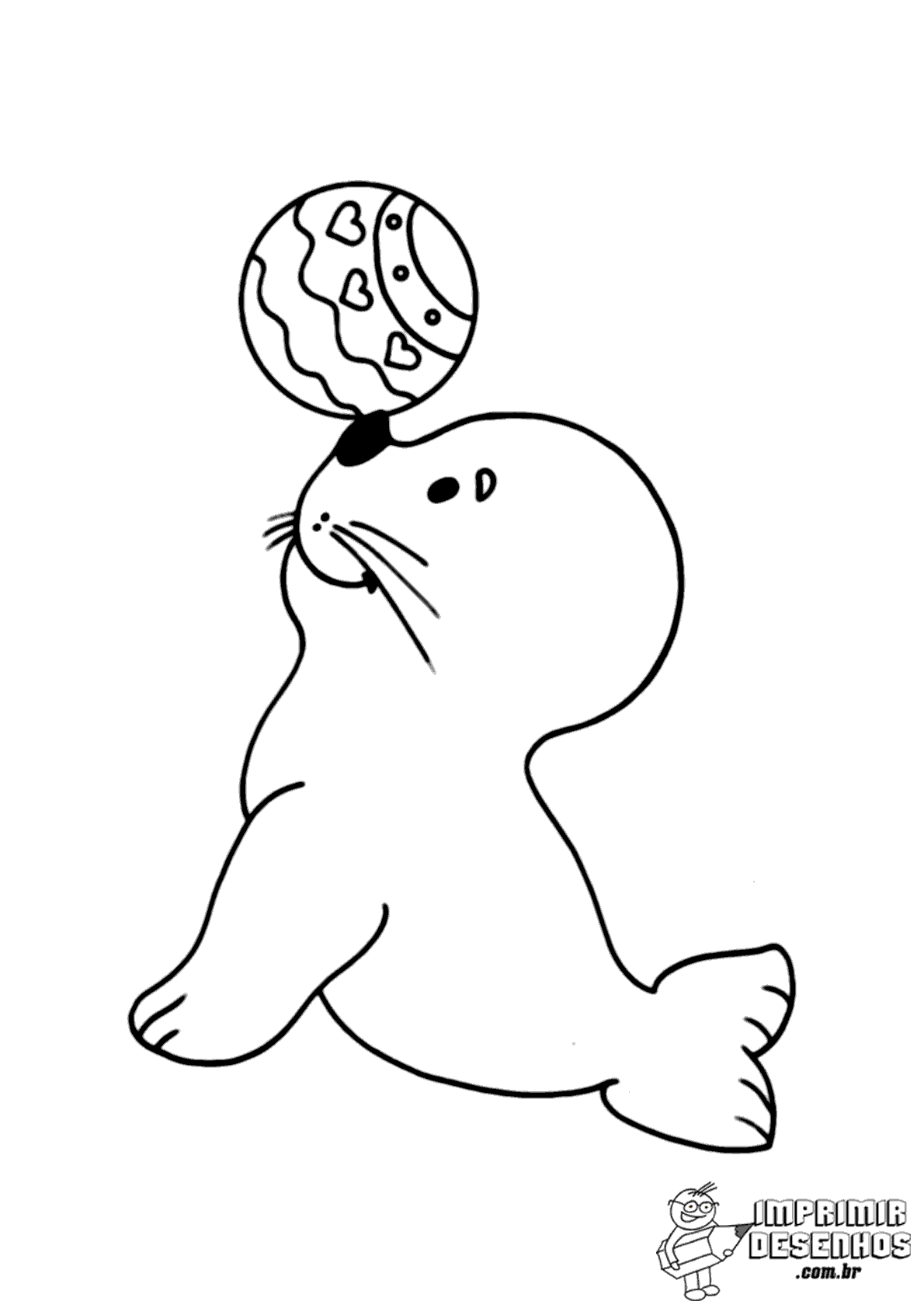 Desenho de foca para colorir desenho de animal