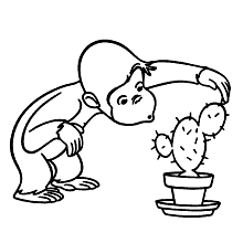 macacos para colorir cactus