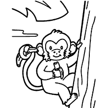 Macaco fácil sorrindo para colorir