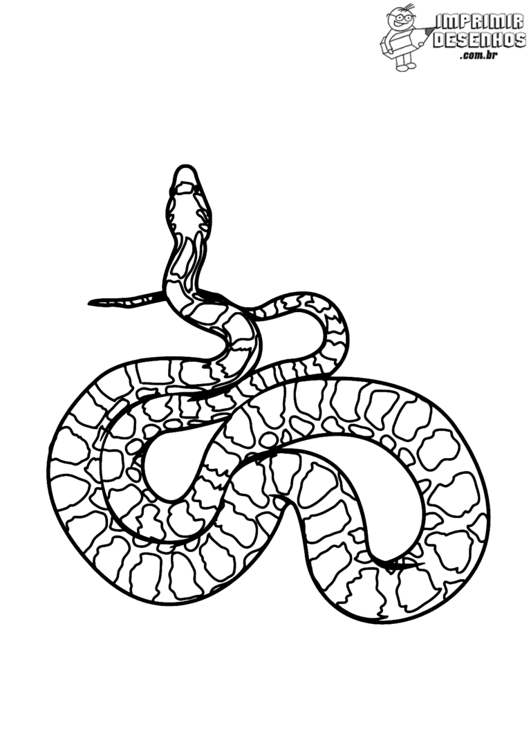 Cobra comprida para colorir - Imprimir Desenhos