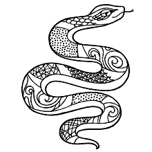 cobras para colorir estampas