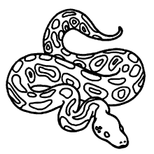 de 50] Cobras para colorir - Imprimir Desenhos