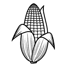 desenhos de festa junina para colorir milho