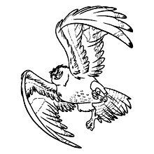moana para colorir aguia