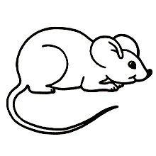 ratinho para colorir e pintar