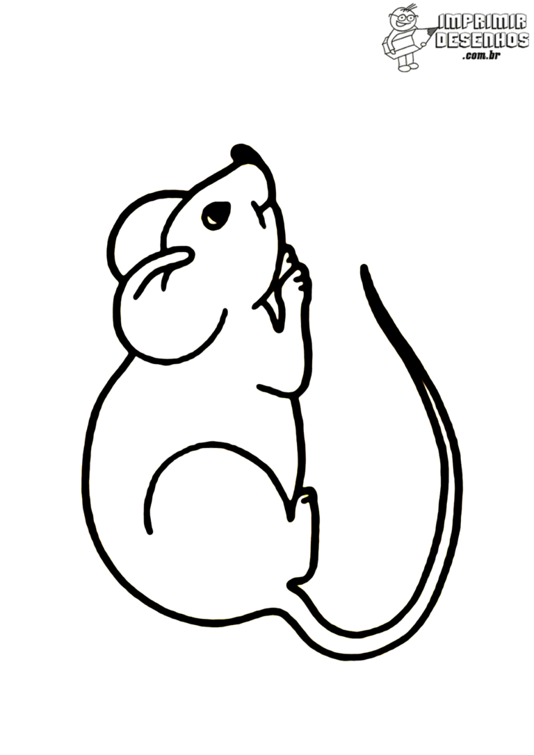 Ratinho Para Pintar E Colorir Imprimir Desenhos