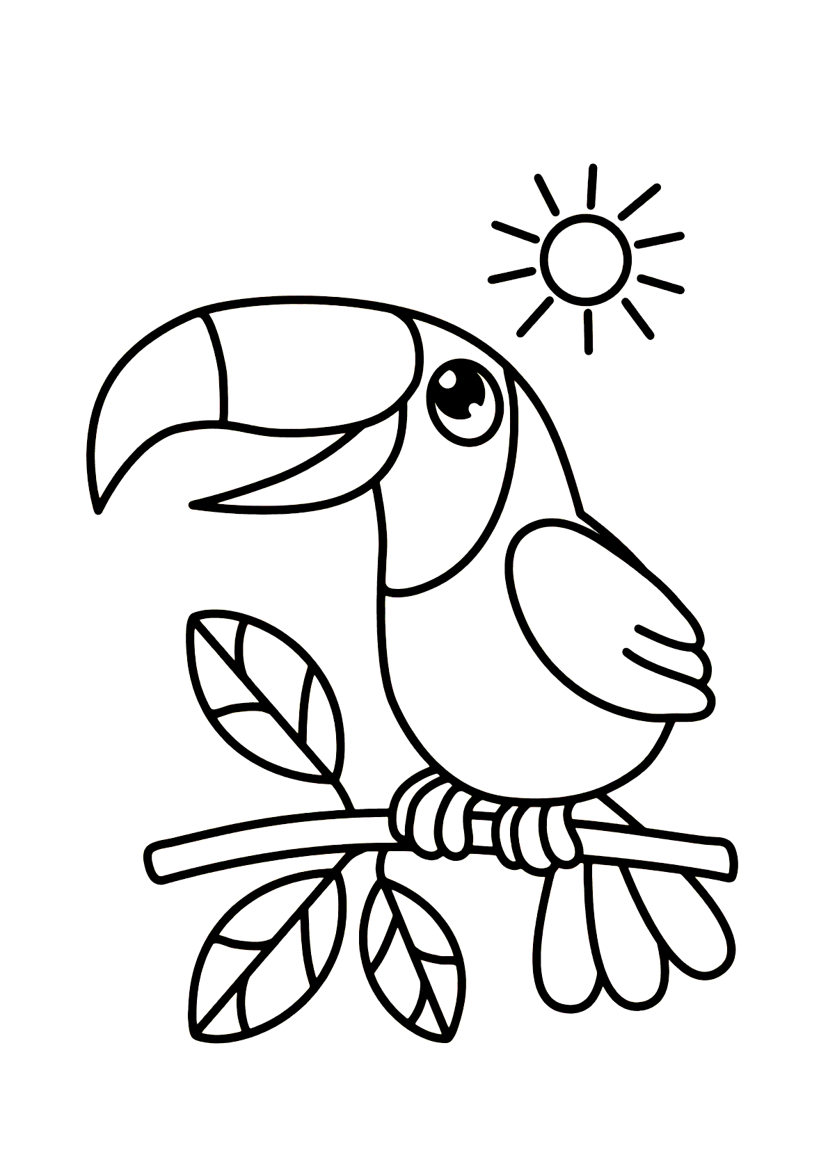 Tucano E Sol Para Colorir Imprimir Desenhos