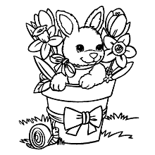 coelho para colorir balde