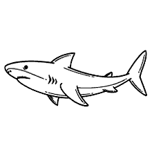 tubaroes para colorir branco