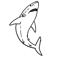 tubaroes para colorir perigoso