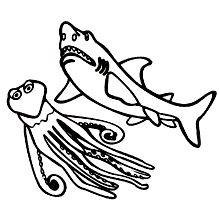 tubaroes para colorir polvo