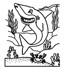 tubaroes para colorir siri