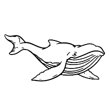 baleias para colorir realista