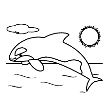 baleias para colorir sol