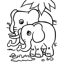 elefante para colorir amigo