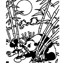 panda para colorir mickey