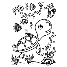 tartaruga para colorir animais marinhos